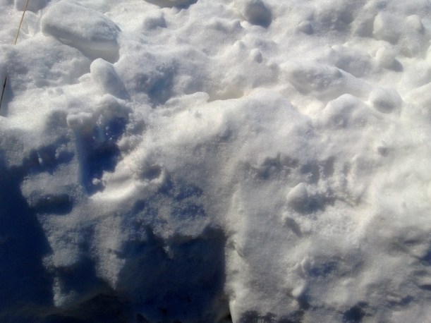 What cute little hands - he did this all on his own without prompting!