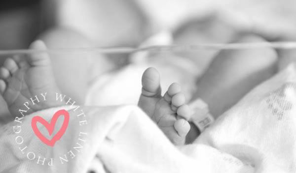 382571_10152038435444348_2025591272_n