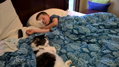 WP_20151105_15_38_41_Pro