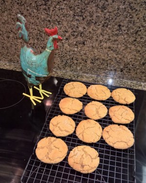 WP_20151208_18_22_08_Pro