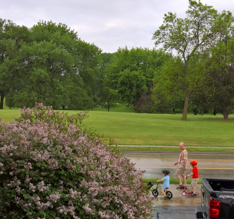 WP_20160528_07_08_45_Rich (2)